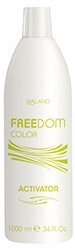 FREEDOM COLOR ATTIVATORE 1L